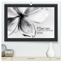 Pflanzen in Schwarz und Weiß (hochwertiger Premium Wandkalender 2024 DIN A2 quer), Kunstdruck in Hochglanz von Karius,  Kirsten