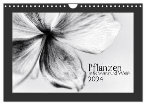 Pflanzen in Schwarz und Weiß (Wandkalender 2024 DIN A4 quer), CALVENDO Monatskalender von Karius,  Kirsten