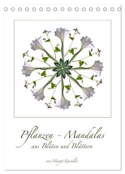 Pflanzen – Mandalas aus Blüten und Blättern (Tischkalender 2024 DIN A5 hoch), CALVENDO Monatskalender von Quendler,  Margit