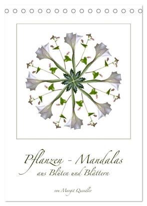 Pflanzen – Mandalas aus Blüten und Blättern (Tischkalender 2024 DIN A5 hoch), CALVENDO Monatskalender von Quendler,  Margit