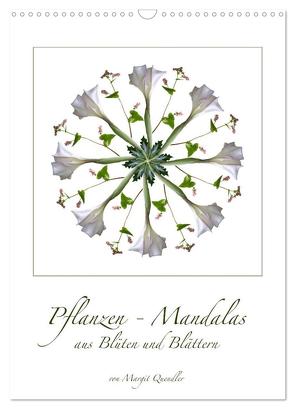 Pflanzen – Mandalas aus Blüten und Blättern (Wandkalender 2024 DIN A3 hoch), CALVENDO Monatskalender von Quendler,  Margit