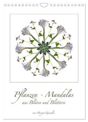 Pflanzen – Mandalas aus Blüten und Blättern (Wandkalender 2024 DIN A4 hoch), CALVENDO Monatskalender von Quendler,  Margit