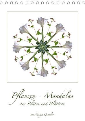 Pflanzen – Mandalas aus Blüten und BlätternAT-Version (Tischkalender 2019 DIN A5 hoch) von Quendler,  Margit