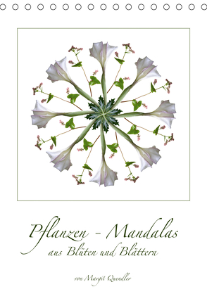 Pflanzen – Mandalas aus Blüten und BlätternAT-Version (Tischkalender 2020 DIN A5 hoch) von Quendler,  Margit