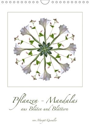 Pflanzen – Mandalas aus Blüten und BlätternAT-Version (Wandkalender 2018 DIN A4 hoch) von Quendler,  Margit