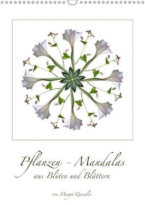 Pflanzen – Mandalas aus Blüten und BlätternAT-Version (Wandkalender 2019 DIN A3 hoch) von Quendler,  Margit