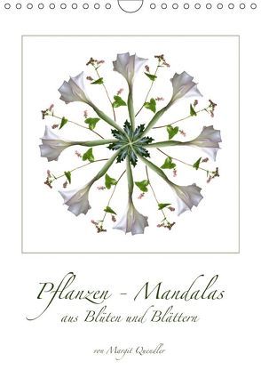 Pflanzen – Mandalas aus Blüten und BlätternAT-Version (Wandkalender 2019 DIN A4 hoch) von Quendler,  Margit