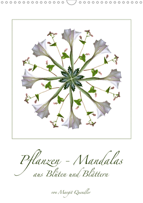 Pflanzen – Mandalas aus Blüten und BlätternAT-Version (Wandkalender 2020 DIN A3 hoch) von Quendler,  Margit