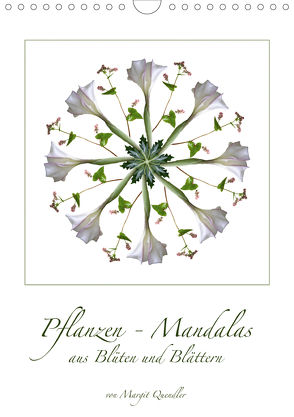 Pflanzen – Mandalas aus Blüten und BlätternAT-Version (Wandkalender 2020 DIN A4 hoch) von Quendler,  Margit