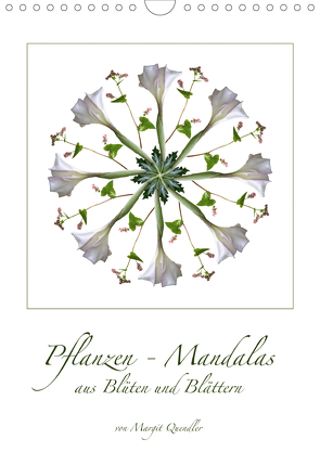 Pflanzen – Mandalas aus Blüten und BlätternAT-Version (Wandkalender 2021 DIN A4 hoch) von Quendler,  Margit