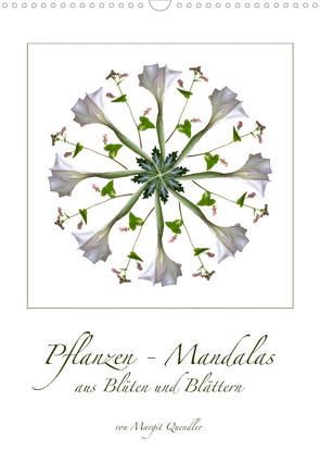 Pflanzen – Mandalas aus Blüten und BlätternAT-Version (Wandkalender 2022 DIN A3 hoch) von Quendler,  Margit