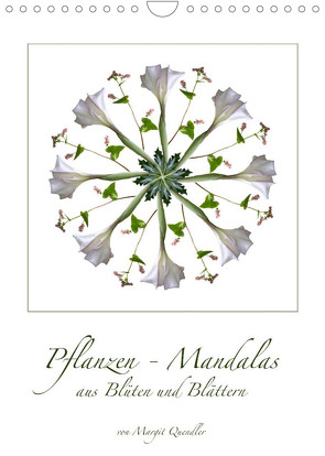 Pflanzen – Mandalas aus Blüten und BlätternAT-Version (Wandkalender 2023 DIN A4 hoch) von Quendler,  Margit