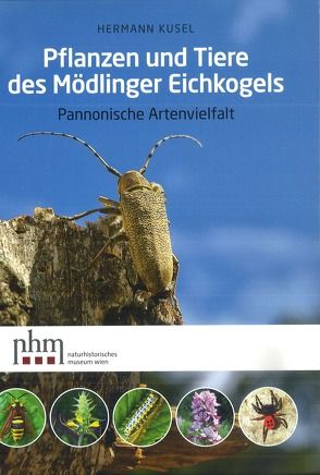 Pflanzen und Tiere des Mödlinger Eichkogels von Fischer,  Manfred A, Kusel,  Hermann
