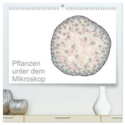 Pflanzen unter dem Mikroskop (hochwertiger Premium Wandkalender 2024 DIN A2 quer), Kunstdruck in Hochglanz von Schreiter,  Martin