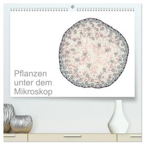 Pflanzen unter dem Mikroskop (hochwertiger Premium Wandkalender 2024 DIN A2 quer), Kunstdruck in Hochglanz von Schreiter,  Martin