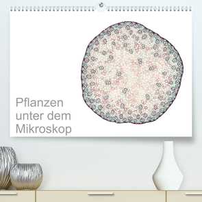 Pflanzen unter dem Mikroskop (Premium, hochwertiger DIN A2 Wandkalender 2023, Kunstdruck in Hochglanz) von Schreiter,  Martin