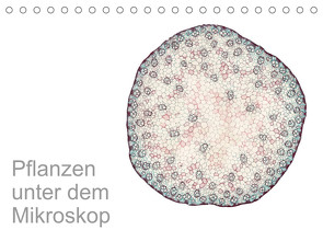Pflanzen unter dem Mikroskop (Tischkalender 2023 DIN A5 quer) von Schreiter,  Martin