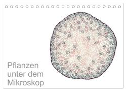 Pflanzen unter dem Mikroskop (Tischkalender 2024 DIN A5 quer), CALVENDO Monatskalender von Schreiter,  Martin