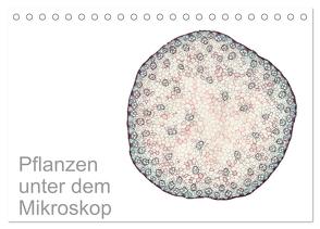 Pflanzen unter dem Mikroskop (Tischkalender 2024 DIN A5 quer), CALVENDO Monatskalender von Schreiter,  Martin