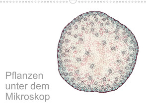 Pflanzen unter dem Mikroskop (Wandkalender 2023 DIN A3 quer) von Schreiter,  Martin