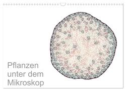 Pflanzen unter dem Mikroskop (Wandkalender 2024 DIN A3 quer), CALVENDO Monatskalender von Schreiter,  Martin