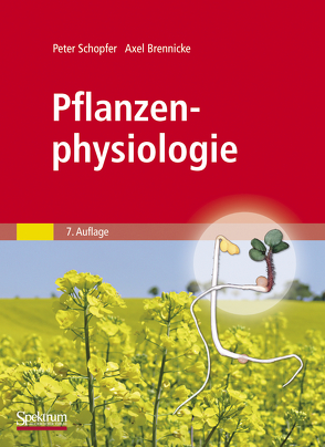 Pflanzenphysiologie von Brennicke,  Axel, Schopfer,  Peter