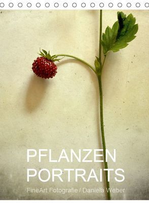 Pflanzenportraits FineArt Fotografie Daniela Weber (Tischkalender 2019 DIN A5 hoch) von Weber,  Daniela