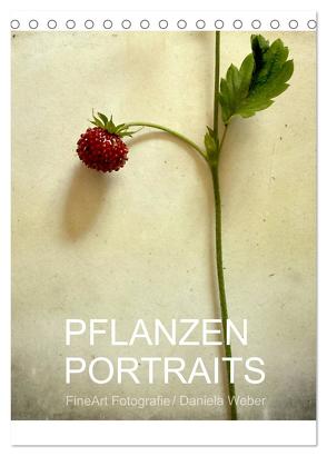 Pflanzenportraits FineArt Fotografie Daniela Weber (Tischkalender 2024 DIN A5 hoch), CALVENDO Monatskalender von Weber,  Daniela
