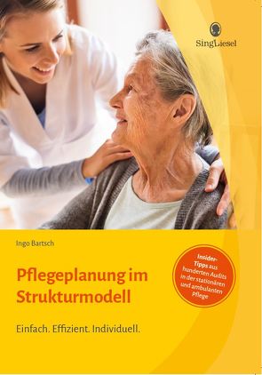 Pflegeplanung im Strukturmodell von Bartsch,  Ingo