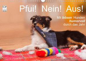 Pfui! Nein! Aus! – Mit bösen Hunden humorvoll durch das Jahr (Wandkalender 2022 DIN A3 quer) von Wegner,  Petra