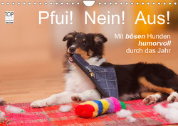 Pfui! Nein! Aus! – Mit bösen Hunden humorvoll durch das Jahr (Wandkalender 2023 DIN A4 quer) von Wegner,  Petra