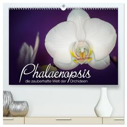 Phalaenopsis – die zauberhafte Welt der Orchideen (hochwertiger Premium Wandkalender 2024 DIN A2 quer), Kunstdruck in Hochglanz von Strehl,  Deborah
