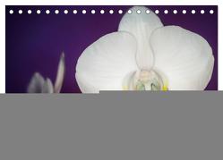 Phalaenopsis – die zauberhafte Welt der Orchideen (Tischkalender 2024 DIN A5 quer), CALVENDO Monatskalender von Strehl,  Deborah