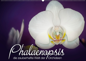 Phalaenopsis – die zauberhafte Welt der Orchideen (Wandkalender 2021 DIN A2 quer) von Strehl,  Deborah