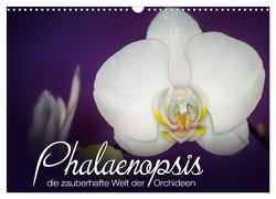 Phalaenopsis – die zauberhafte Welt der Orchideen (Wandkalender 2024 DIN A3 quer), CALVENDO Monatskalender von Strehl,  Deborah