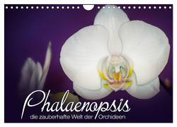 Phalaenopsis – die zauberhafte Welt der Orchideen (Wandkalender 2024 DIN A4 quer), CALVENDO Monatskalender von Strehl,  Deborah