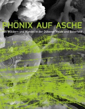 Phönix auf Asche von Albrecht,  Rainer, Bendix,  Bernd, Bernhofer,  Christian, Bleymüller,  Hans, Eisenhauer,  Dirk-Roger, Fürst,  Christine, Goldberg,  Valeri, Holz,  Uwe, Hübsch,  Kerstin, Kegler,  Harald, Makeschin,  Franz, Möhring,  Caroline, Pietzsch,  Katrin, Sonnemann,  Sven, Zirlewagen,  Dietmar