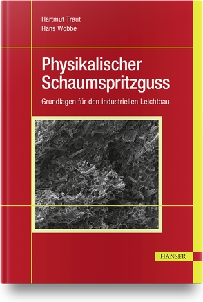 Physikalischer Schaumspritzguss von Traut,  Hartmut, Wobbe,  Hans