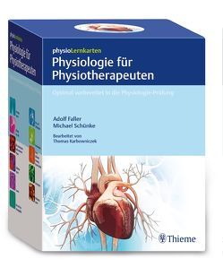 physioLernkarten – Physiologie für Physiotherapeuten von Faller,  Adolf, Schünke,  Michael