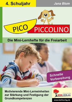 PICO-Piccolino / Klasse 4 von Blum,  Jana