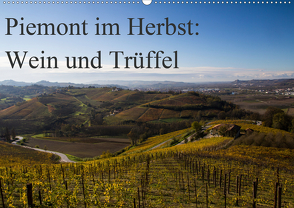 Piemont im Herbst: Wein und Trüffel (Wandkalender 2021 DIN A2 quer) von Sandner,  Annette, www.culinarypixel.de