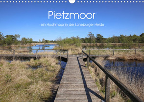 Pietzmoor – ein Hochmoor in der Lüneburger Heide (Wandkalender 2023 DIN A3 quer) von Nack,  Heike