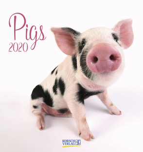 Pigs 2020 von Korsch Verlag