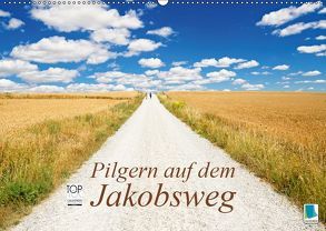 Pilgern auf dem Jakobsweg (Wandkalender 2019 DIN A2 quer) von CALVENDO