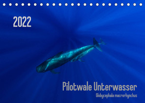 Pilotwale Unterwasser – Globicephala macrorhynchus (Tischkalender 2022 DIN A5 quer) von Weber-Gebert,  Claudia