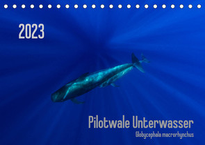 Pilotwale Unterwasser – Globicephala macrorhynchus (Tischkalender 2023 DIN A5 quer) von Weber-Gebert,  Claudia