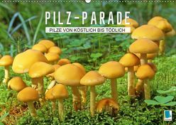 Pilz-Parade – Pilze von köstlich bis tödlich (Wandkalender 2019 DIN A2 quer) von CALVENDO