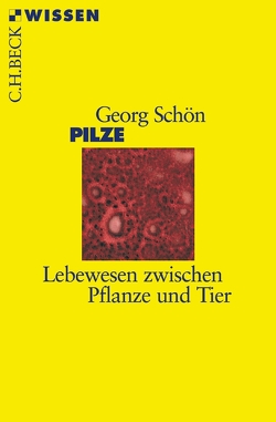 Pilze von Schön,  Georg