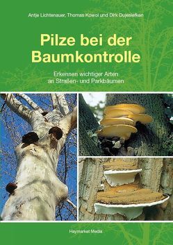 Pilze bei der Baumkontrolle von Dujesiefken,  Dirk, Kowol,  Thomas, Lichtenauer,  Antje