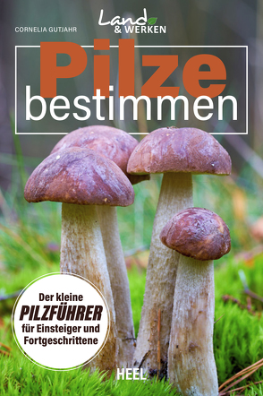 Pilze bestimmen – Der kleine Pilzführer für Einsteiger und Fortgeschrittene von Gutjahr,  Cornelia